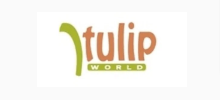 Tulip World